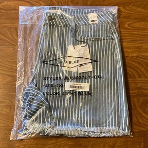 Judy Blue High Waist Pinstripe Denim shorts with raw hem